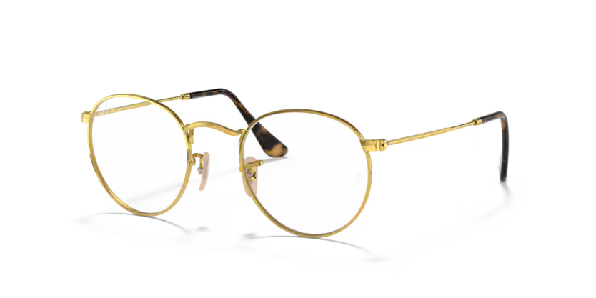 RayBan rb3447V-2500