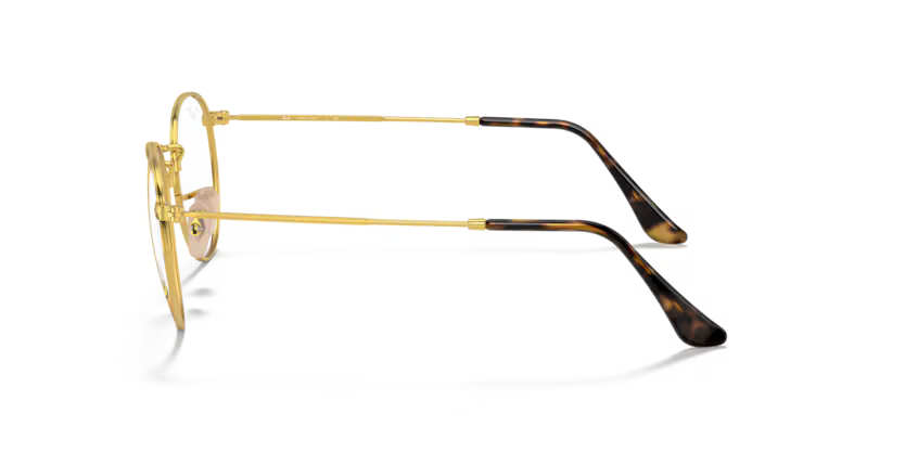 RayBan rb3447V-2500